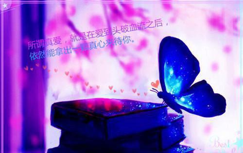 热辣学费宋安安小说全文免费宋安安读无弹窗大结局_(热辣学费宋安安)宋安安最新章节列表（热辣学费宋安安）