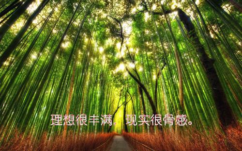 医妻替嫁后被宠上天最新章节_医妻替嫁后被宠上天全文免费阅读