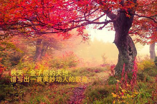 浪漫的童话般爱情故事