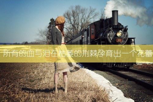 我把男友租给女房客最新章节_我把男友租给女房客全文免费阅读