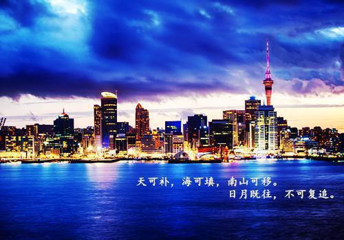 何欢徐菲最新章节_何欢徐菲全文免费阅读