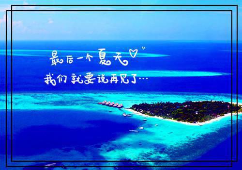 魏沐央秦京玄全文在线阅读热门小说（魏沐央秦京玄）免费试读