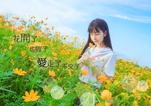 个人求职简历ppt模板范文