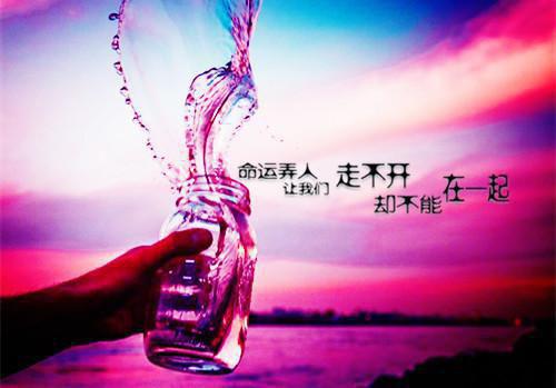 最新热血励志动画片魁拔Ⅲ