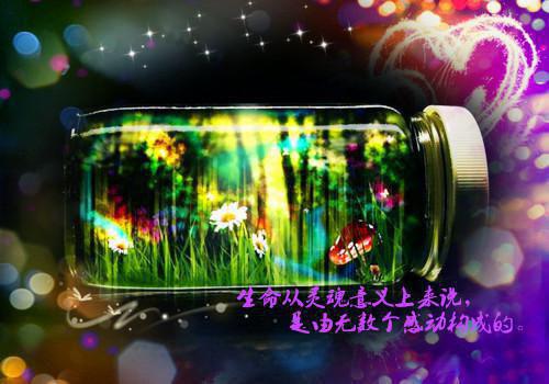 银行会计求职简历表格