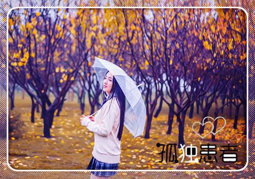 沈枝意陆定渊全文最新章节正版小说免费阅读