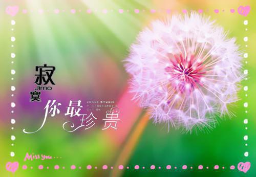 经典幽默故事大全精选