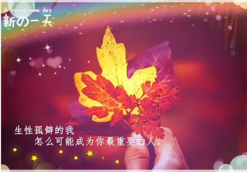成功的企业战略管理案例
