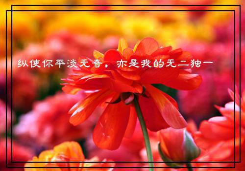 英文个人简历的个性