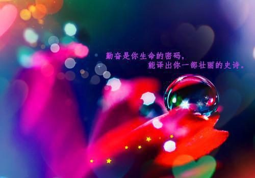 10个哲理故事人生感悟