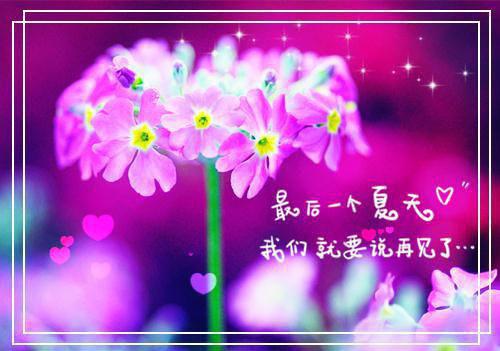 高质量惊！权贵大佬们都在等着她休夫小说推荐  沈时好李屿恒全文阅读（完整版）