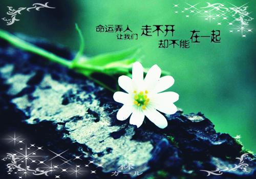 (番外)+(全文阅读)被婢女冒充身份后，我上位成了女皇小说后续+大结局免费下载阅读_(秦常宁秦常乐)高分小说被婢女冒充身份后，我上位成了女皇：结局+番外+完结最新章节列表（秦常宁秦常乐）