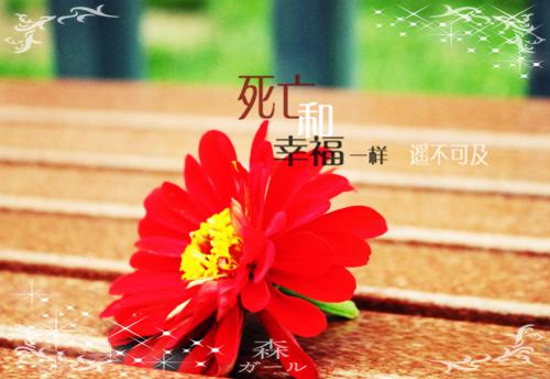 明珠烬落，春华未止：+后续+结局（刘诗妤谢驰）全文免费阅读无弹窗大结局_(明珠烬落，春华未止：+后续+结局大结局)刘诗妤谢驰最新章节