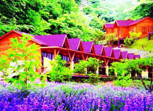 屈意如归小说全文免费阅读（林轻烟慕容夙玦）全文免费林轻烟慕容夙玦阅读无弹窗大结局_(林轻烟慕容夙玦)屈意如归小说免费林轻烟慕容夙玦阅读无弹窗最新章节列表（林轻烟慕容夙玦）