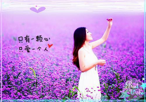 骑士爱情故事