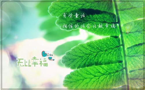 17会计个人简历范文