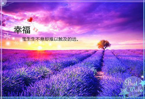 私藏最新章节_私藏全文免费阅读