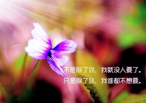 虞微漫漫：全文+后续+结局（虞微顾千寒虞漫漫）免费热荐最新全章节阅读_虞微漫漫：全文+后续+结局小说大结局免费阅读（虞微顾千寒虞漫漫）
