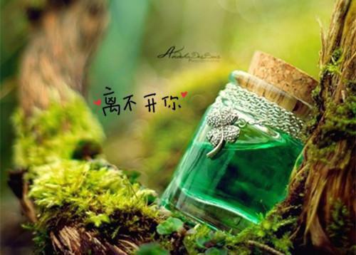 许红妆君长离（许红妆君长离）全文免费阅读无弹窗大结局_许红妆君长离免费最新章节列表（许红妆君长离）