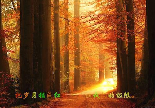 小老鼠立志的故事