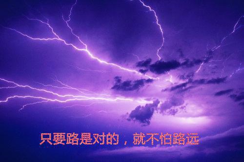 养蛇创业成功故事分享