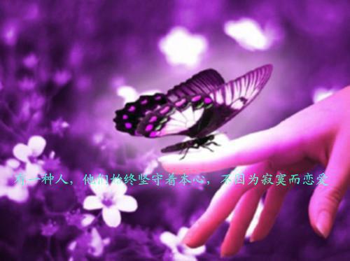 财务会计是求职简历模板下载