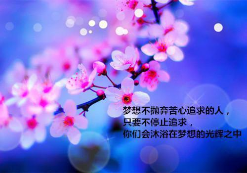 高分言情今笙有夭全文阅读（沈漓傅辰笙）最新章节_高分言情今笙有夭全文阅读