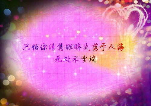 产品研发实习（分子细胞方向）英文简历模板