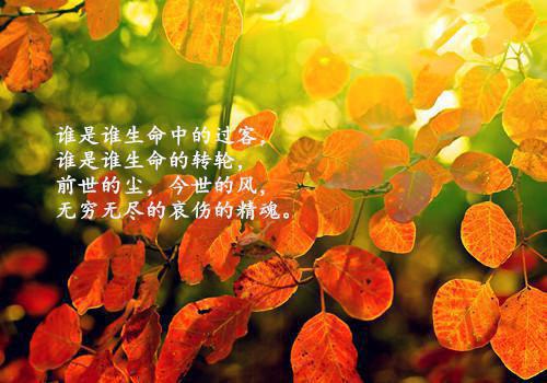周末推荐必看的20部励志电影