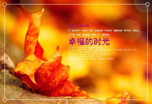 顾念安萧逸兴最新章节_顾念安萧逸兴全文免费阅读