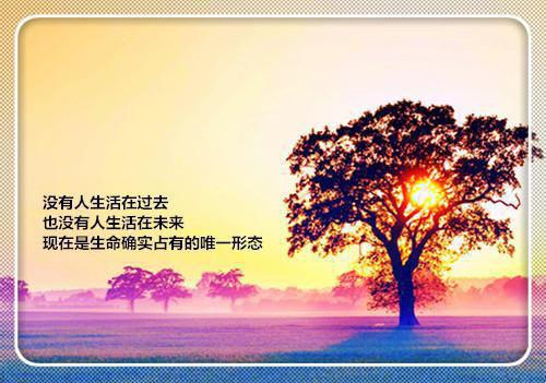 阮柠段显尘（攻下那个高岭之花小说）全文免费阮柠段显尘读无弹窗大结局_(阮柠段显尘攻下那个高岭之花小说小说免费阮柠段显尘读)最新章节列表（阮柠段显尘）