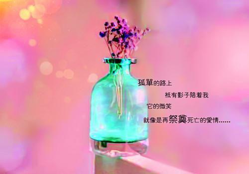 秘书求职英文简历表格