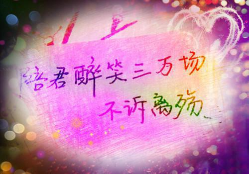 英语专业本科求职个人简历范文