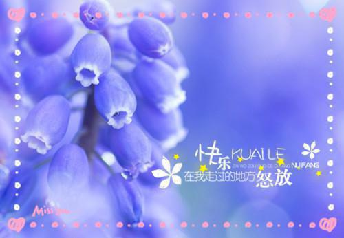 华晚裳枭夜全文免费阅读无弹窗大结局_(李云绮李梦绮)最新章节