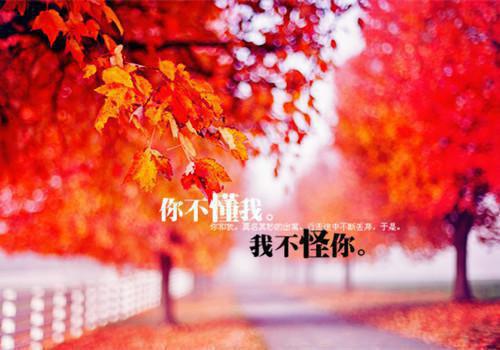 教师必读经典的书籍推荐