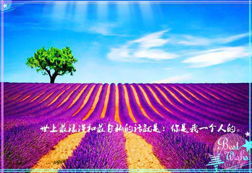 洛于渊杜月歆最新章节_洛于渊杜月歆全文免费阅读