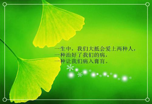 离婚后，总裁前夫逼我生二胎最新章节_离婚后，总裁前夫逼我生二胎全文免费阅读