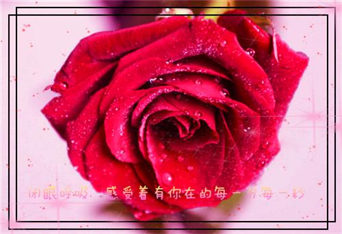 反抗逼捐后，同学造我和我妈的黄谣最新章节_反抗逼捐后，同学造我和我妈的黄谣全文免费阅读