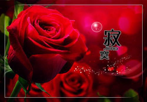 无名七月（贺修远丁楚沅）全文免费阅读无弹窗大结局_(无名七月贺修远丁楚沅免费阅读全文大结局)最新章节列表（无名七月）