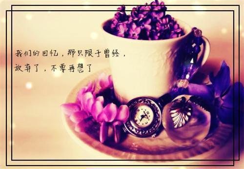 叶晚萍霍锦明小说全文 叶晚萍霍锦明小说免费阅读大结局