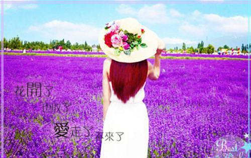 高三高考励志的语录大全