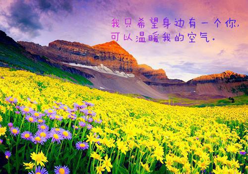 孕检当天，总裁拉着我领证！最新章节_孕检当天，总裁拉着我领证！全文免费阅读