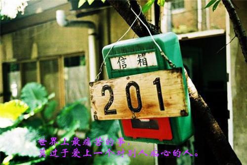 甜心月光阅读_甜心月光言情小说全文阅读