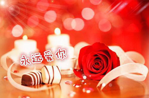 星辰阴谋小说免费全章节小说时淮序桑宁完结版阅读