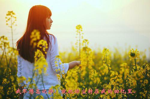 人生感悟美文：独处的充实