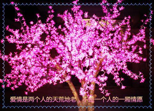 他把我当替身，我离开后他悔疯了最新章节_他把我当替身，我离开后他悔疯了全文免费阅读