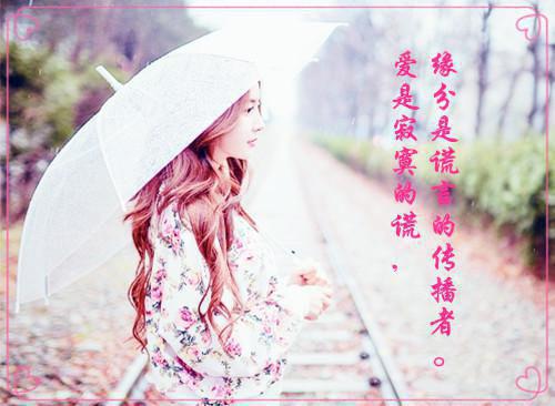 小雏菊全文免费阅读（顾炎）小说全文免费阅读无弹窗_（小雏菊）小说全文免费阅读最新章节列表（顾炎）