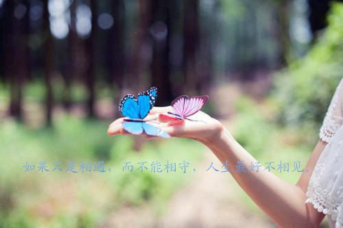 杨飞周依曼（得知我的豪门公主身份，丈夫一家悔之晚矣：结局+番外）小说免费阅读无弹窗大结局_杨飞周依曼最新章节