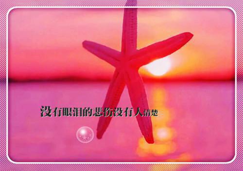 我要谢谢你，赠我一场空欢喜小说全文免费阅读（池轻帆徐睿）全文免费池轻帆徐睿读无弹窗大结局_(池轻帆徐睿)我要谢谢你，赠我一场空欢喜小说免费池轻帆徐睿读无弹窗最新章节列表（池轻帆徐睿）