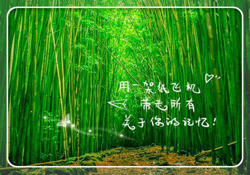 最新个人简历模板范文